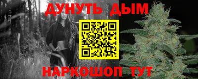 дурь Славгород
