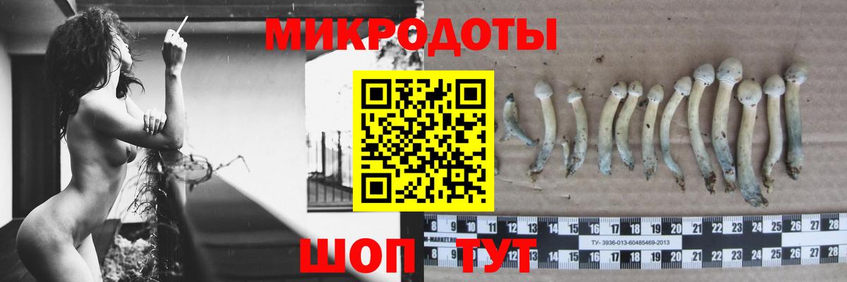 Псилоцибиновые грибы мухоморы  купить закладку  Вход с VPN  Муром  Псилоцибиновые грибы ЛСД 